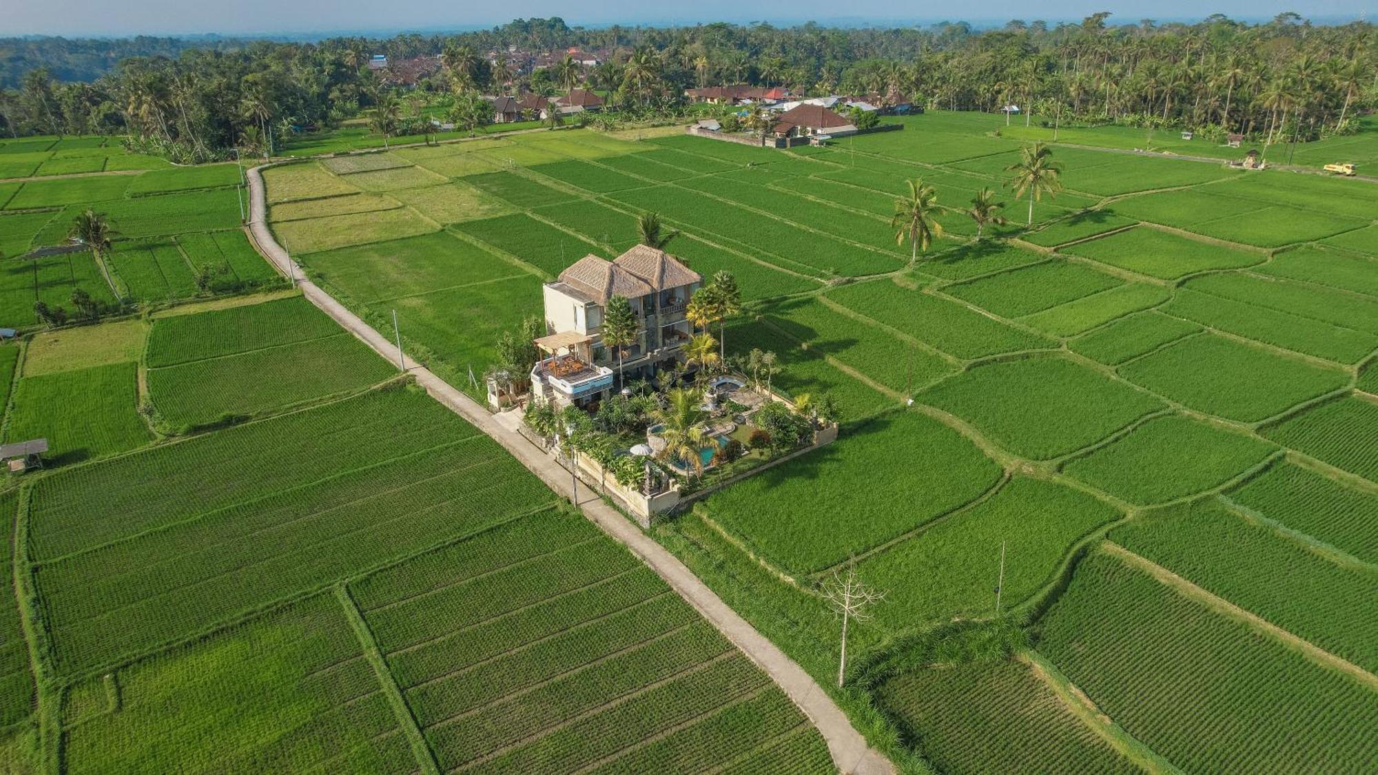 The Nenggala Suite เตกากาลัง ภายนอก รูปภาพ